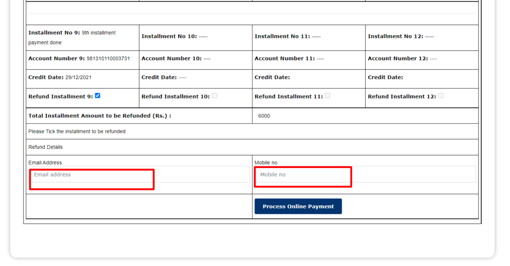 Process Online Payment